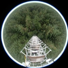 Listen to our data - Harwood Tower