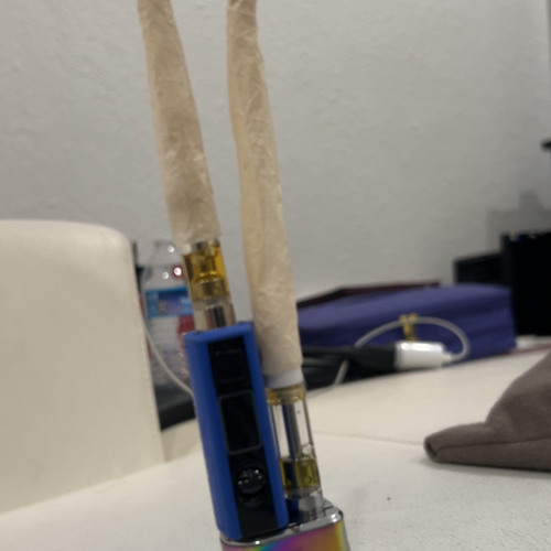 xaviersobased - ganja (solo)