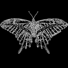 nobody (prod. yungvlonesmok x vtrxty)