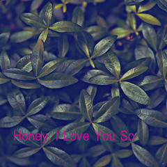 Honey, I Love You So