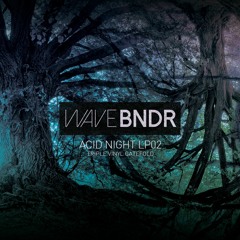 WaveBndr - AN LP02 (snippets) // OUT NOW- Acid Night, Paris