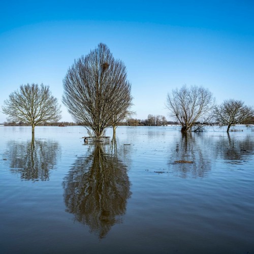 #24 Een grote vreselijke vloed: de Sint Elisabethsvloed