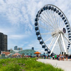 Best Things To Do In Chicago Near Magnificent Mile Tours Reviews