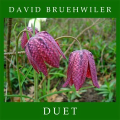 DUET