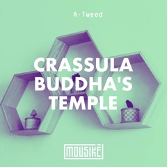 Mousikē 82 | "Crassula Buddha's Temple" by A-Tweed