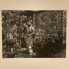 stoned in wahroonga park