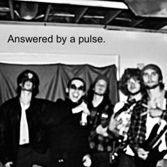 Answered by a Pulse