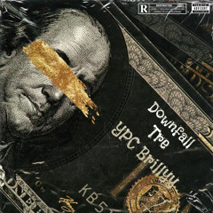 Downfall ft YPC Brillyy