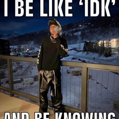 bojack horseman-you were born broken