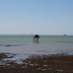 Le temps de la Beauté