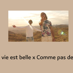 la vie est belle x comme pas deux remix pnl