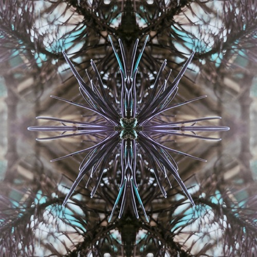 Portal
