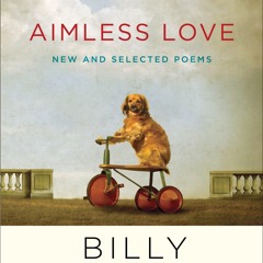 ⭿ READ [PDF] ⚡ Aimless Love: New and Selected Poems android