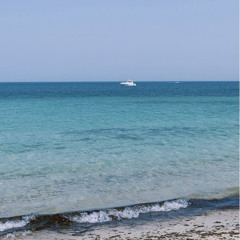 راشد الماجد - عطاشى