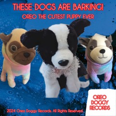 THESE DOGS ARE BARKING!