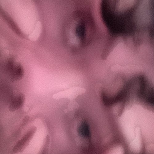 Docktown - Du Var Så Mycket