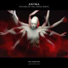 FREE DOWNLOAD: ANYMA - Pictures Of You (GRKAS REMIX)
