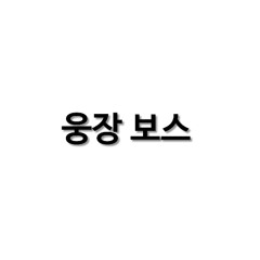 웅장보스트링