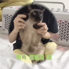 fifty fifty - cupid (마복필cover).mp3