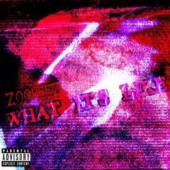 Z00KEEZ ~ What It’s Like (Beat Only)