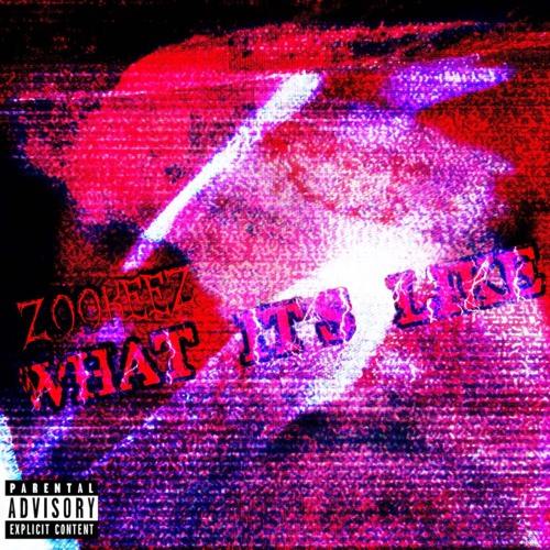 Z00KEEZ ~ What It’s Like (Beat Only)