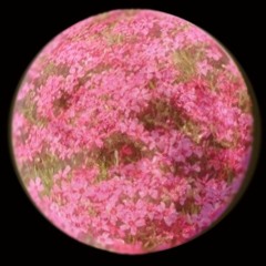 Astral & Skyeris 4 - 22 - 21