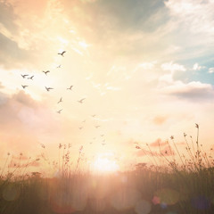 اقتربت صلاة العصر