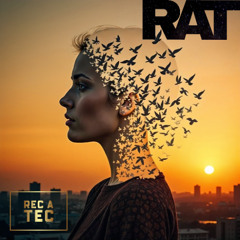 Tech House sets everything