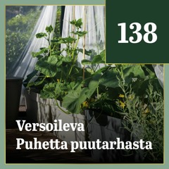 138 - Kasvihuonekurkku - uhka vai mahdollisuus?