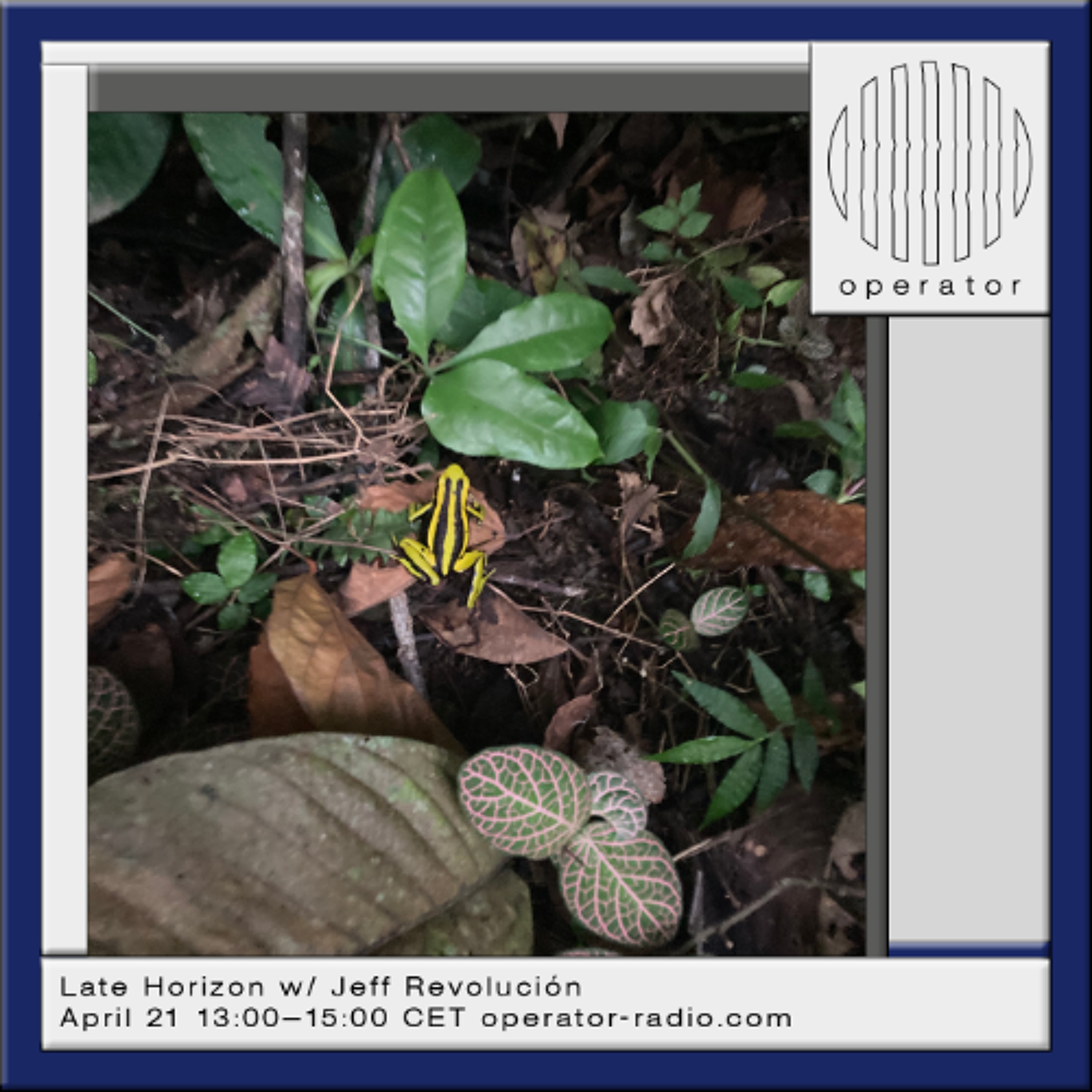 Late Horizon w/ Jeff Revolución - 21st April 2026 episode artwork
