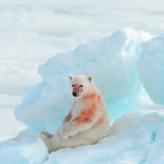 Hardrock - Spin [prod. Zodiac + Reiid].mp3