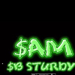 SB Sturdy - SAM