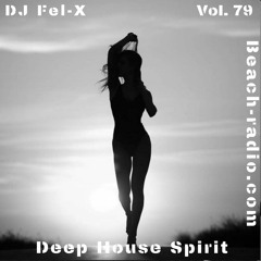 Deep House Spirit Vol.79 Mix DJ Fel-X