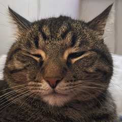 Dad Metal - work in progress.