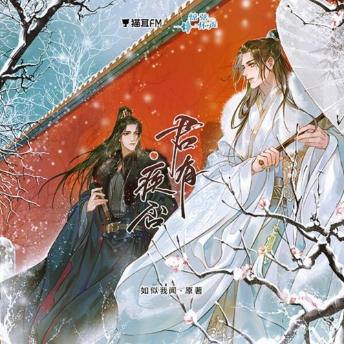 落于江山一处白 Fall in white place of jiang shan《君有疾否》如似我闻原著 广播剧 第一季 主题曲