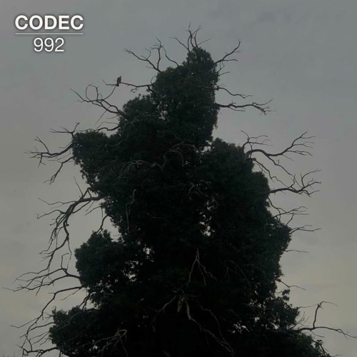 Frankie Bromley - Awakening [CODEC992006 | Premiere]
