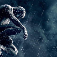 Why Bother? Spider-Man Edit TikTok Sound