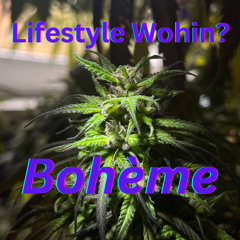 Bohème - Lifestyle Wohin?