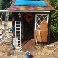 knobby knees (freestyle)