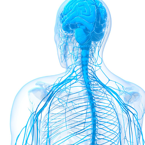 kill the nerves (prod. pyctur)