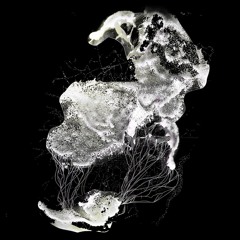 episode IV: mycelium - Daddy Long Dick