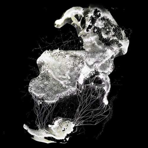episode IV: mycelium - Daddy Long Dick