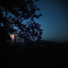 Full (mo)on dance - TAEPSYLON @ ALVIDA (Freitanzkultur), Ihringen 2025