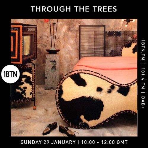 Through The Tree's with Ty - 29.01.2023
