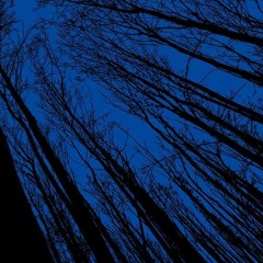 Journey Into My Nightmare (2020)