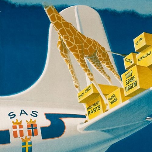 Audioguide DIRECTOR’S CHOICE: No giraffes, please – but almost anything else (ENG)