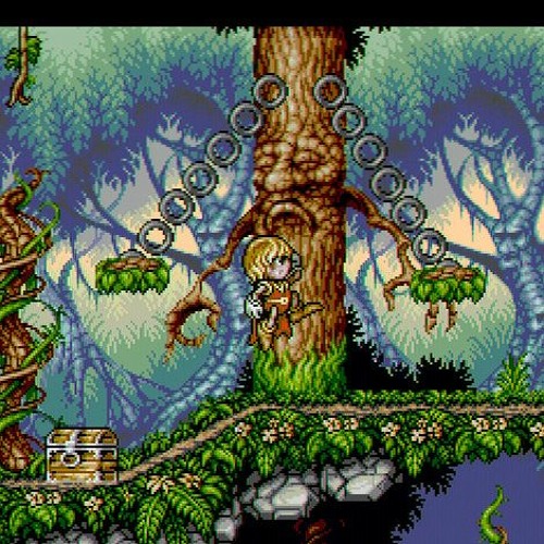 Inside the Tree