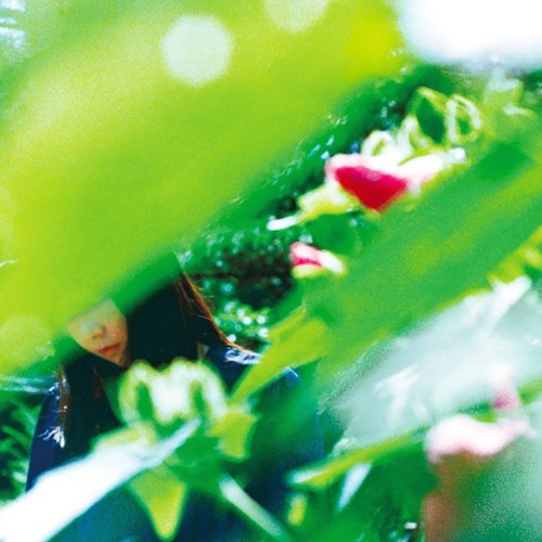 ある春の恋人 (Spring Lovers)