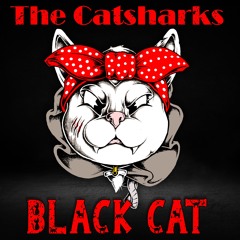 Black Cat