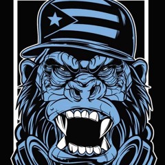 Salsa 2020 DJ FEE MIX On The RONA